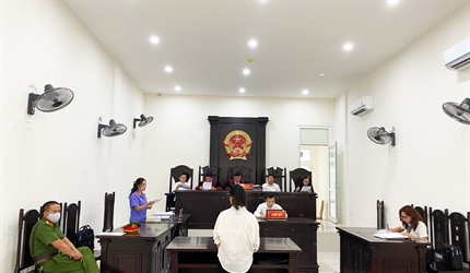 Xét xử vụ án thuê người làm giả Giấy chứng nhận quyền sử dụng đất để...